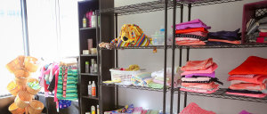 YWRC Toy Shelf