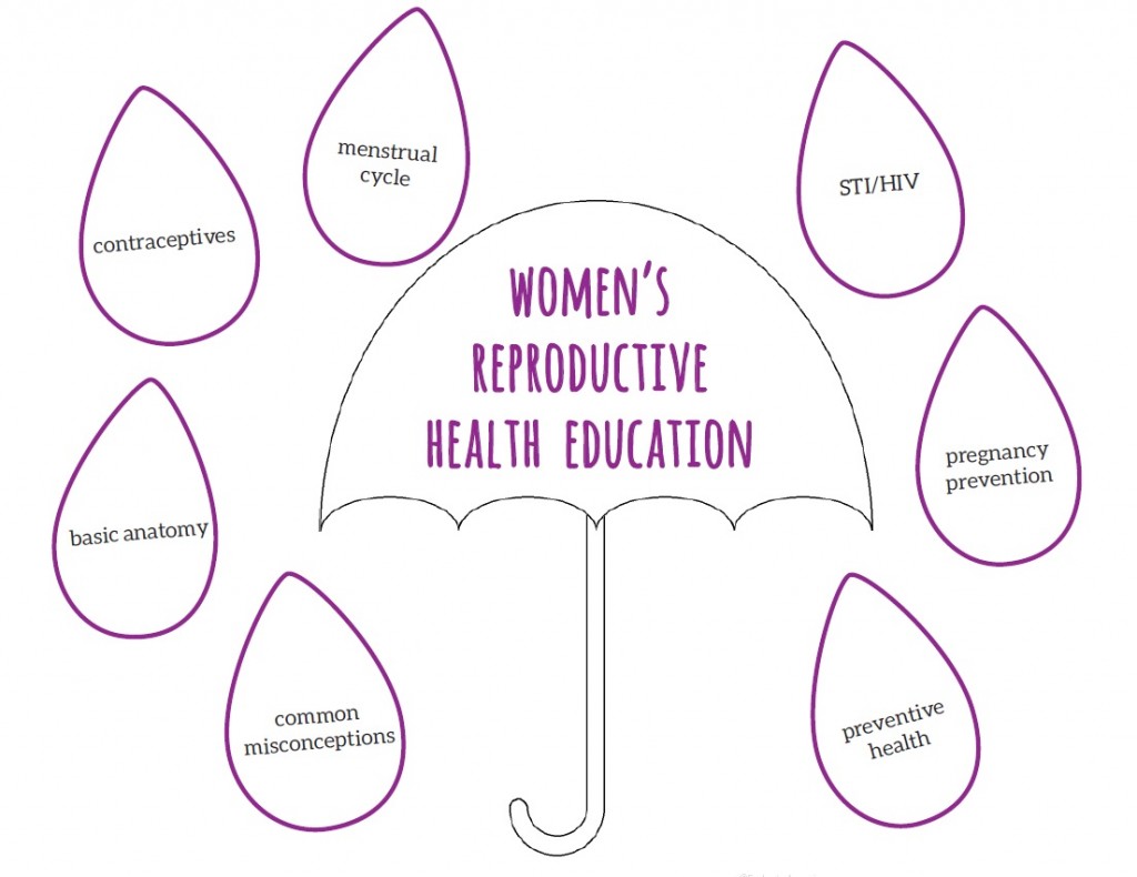  A diagram of a purple umbrella with raindrops around it. The raindrops contain the text 'menstrual cycle', 'contraceptives', 'basic anatomy', 'common misconceptions', 'STI/HIV', 'pregnancy prevention', and 'preventive health'. The diagram represents the search query 'Reproductive health conditions in women'.